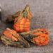 Th Lily Pagoda Bourgeon d'or toile d'or Gongfu parfum au miel Th rouge 500g - Buy Online on GoSupps.com