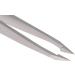 REMOS Stainless Steel Combination Tweezers 9.5cm - Ideal for Splinters & Hair Removal - Buy Online on GoSupps.com