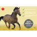 Ferme Olim ga Camelina Oil for Horses 4L Rich in Polyunsaturated Omega-3 Vitamin E Pure and Cold Pressed. - Buy Online on GoSupps.com