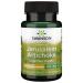 Swanson Full Spectrum Jerusalem Artichoke 400 Milligrams 60 Capsules