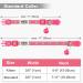 Shop Tagme Cat Neck Band 2-Pack | Reflective Safety Collar with ID Shield & Bell | Adjustable for Cats & Puppies | Pink 18-28 cm - Buy Online on GoSupps.com