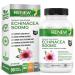 RENEW ACTIVES ORGANIC ECHINACEA (10:1 RATIO) - High Potency Herbal Supplement to Relieve Symptoms & Shorten Duration of Upper Respiratory Conditions Non-GMO Easy-to-Swallow - 90 Capsules - Made in Canada