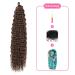 DSoar 26 Inch Deep Twist Crochet Hair - Ocean Wave Curly Bohemian Braids | 3 Packs Synthetic Hair Extensions for Women & Girls (Color 4#) - Buy Online on GoSupps.com
