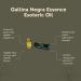 Gallina Negra Anointing Oil Intention Oil Protection Essence 5ml Against Evil Eye Witchcraft - Buy Online on GoSupps.com