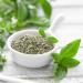 Grated basil (40 g) delicately dried basil 100% pure and natural for the preparation of spice mixtures - Buy Online on GoSupps.com