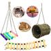 Ewolee Hamster Toys 3 Pack Ferret Toys Rat Cage Toys Hanging Ladder Hammock Swing for Small Animals Rat Hamster Gerbil Degu Guinea Pig Squirrel Ferret Parrot - Buy Online on GoSupps.com