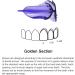 KOHEEL DN Adjustable Braces for Crooked Teeth - International Shipping Available - Buy Online on GoSupps.com