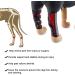 Dog Knee Brace 2-Pack Dog Rear Leg Brace for Rehabilitation of Injured Dislocated Patella Torn ACL Arthritis or Diseased Legs Dog Canine Rear Hock Joint Wrap|Red (M) - Buy Online on GoSupps.com