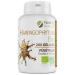 Harpagophytum Bio 330mg - 200 vegetable capsules