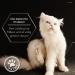 Lolo & Max Natural Flea & Tick Agent for Cats - 100% Natural Spot-On Treatment - Up to 8 Months Defense Against Fleas Ticks Mites & More - Buy Online on GoSupps.com
