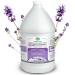Plainly Earth Sweet Lavender Rose Antibacterial Liquid Hand Soap - 1 Gallon Refill Bottle | Cruelty Free, Moisturizing Formula - Buy Online on GoSupps.com