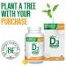 Benemax Vitamin D3 2500 IU For Healthy Bones Teeth and Helps Prevent Vitamin D Deficiency Plant Based & Vegan 360 Day Supply - Buy Online on GoSupps.com