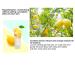 Buy Lemon Peeling Gel 180ml | Moisturizing Skin Care Gel - International Shipping - Buy Online on GoSupps.com