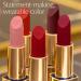 Estée Lauder Pure Color Long-Lasting Cream Lipstick with Cream Finish Plumping & Nourishing - 867 Unleashed - Buy Online on GoSupps.com