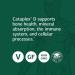 Standard Process Cataplex D - Immune Support & Bone Health - 360 Vegetarian Tablets - Buy Online on GoSupps.com