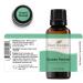 Buy Plant Therapy Sweet Fennel Essential Oil 30 mL - 100% Pure Undiluted Therapeutic Grade - International Shipping Available - Buy Online on GoSupps.com