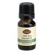 Fabulous Frannie Eucalyptus 100% Pure Undiluted Essential Oil Grade 10 ml (.33oz)