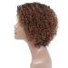 Short Ombre Kinky Curly Wig for Black Women - Glueless Human Hair Wig with Bangs - Buy Online on GoSupps.com