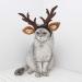 POPETPOP Dog Antlers Costume-Dog Elk Antler Reindeer Hat Cap Cat Christmas Costume Outfits Cat Headwear Small Big Dog Hat Headwear Hair Grooming Accessories-Large - Buy Online on GoSupps.com