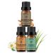 Chamomile Sandalwood Vetiver Essential Oils Set 100% Pure Premium Grade Natural Fragrance Oil Gift kit for Diffusers Home Care Candle Making Fragrance Aromatherapy Humidifiers Chamomile + Sandalwood + Vetiver 10.00 ml (Pack of 3)
