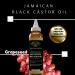 Jamaican Black Castor Oil Hair Repair & Hydration - 4oz Dry Hair Moisturizer with Detangling Oils - Buy Online on GoSupps.com