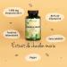 Chardon Marie | Extrait 35 000 mg/jour | Avec 80% Silymarine + 30% Silybine | Sans Additifs | D puratif Foie Naturel + Digestion | 120 G lules | VEGAN | Vegavero 120 unit (Lot de 1) - Buy Online on GoSupps.com