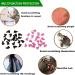 Seminismar 40pcs Cat Nail Covers - Soft Claw Protector & Safe Anti-Scratch Paw Caps for Cats & Dogs (Size M) - Buy Online on GoSupps.com