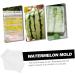 HOMSFOU Watermelon Shaping Vegetables Vegetable Growth Molds Strawberry Cup Fruit Forming Mold Tool Cucumber Ginseng Fruit 15x15cm Transparent - Buy Online on GoSupps.com