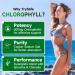 TrySafe 950MG Natural Chlorophyll Capsules with 600MG Chlorophyll Copper Sodium Salt 200MG Spirulina 150MG Chlorella - Detox & Digestion Support* Effective Body's Odor Control* - Buy Online on GoSupps.com
