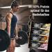 Weider 60% Protein Bar 24-Pack | High Protein with Glutamine & BCAA | Salted Peanut-Caramel - Best for Muscle Building & Fitness - Buy Online on GoSupps.com