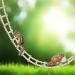 Wooden Bird Ladder & Climbing Toys for Parrots Hamsters & More - 28 Ladders (61.81 x 3.14 in) - Perfect for Fun & Exercise - Buy Online on GoSupps.com