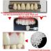 2+1 Set Fake Teeth - Dental Kit for Missing Teeth DIY Provisiona Teeth Educational Teeth Model A2 & A3 - Buy Online on GoSupps.com