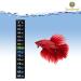 SunGrow Aquarium Sticker Thermometer - Precise Temperature Measurement for Fish, Shrimps & Turtles - Easy Peel & Stick Installation - 2 Color Indicators - Buy Online on GoSupps.com