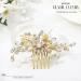 Zoestar Flower Wedding Hiar Comb Slides Gold Crystal Pearl Headpiece Rhinestone Bridal Leaf Hair Accessories for Women and Girls - Buy Online on GoSupps.com