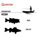 Buy Quantum Invade Baitcast Fishing Reel - 5 Ball Bearings Dynamag Cast Control Zero Friction Design - Left-Wing Gray/Red - Buy Online on GoSupps.com