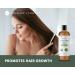 Kate Blanc 16oz USDA Certified Organic Castor Oil - Cold-Pressed, 100% Pure & Hexane-Free - Promotes Hair, Eyelash, and Eyebrow Growth - Moisturizes Dry Skin and Body - Buy Online on GoSupps.com