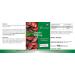 Reishi Powder 650mg - 120 Capsules Functional Vital Fungus Adaptogen Vegan | Vitamintrend  - Buy Online on GoSupps.com
