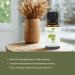 Copaiba Essential Oil - Direct from Amazon Jungle Essential Oils Brazil - Steam Distilled - Aceite de Copaiba for Aromatherapy, Massage, Diffuser, DIY Candle and Soap Making - 15ml Copaiba 0.5 Fl Oz (Pack of 1) - Buy Online on GoSupps.com