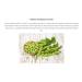 Pistach Skincare Pistachio Oil Face Moisturizer 1.7 oz - Hydrates, Nourishes, Vitamin E, Antioxidant Protection - For Face, Neck, and Chest - Buy Online on GoSupps.com