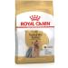 Royal Canin Yorkshire Terrier Adult | Pack of 3 | 3 x 500 g | Dry food for Yorkshire Terrier Adult | From 10 Months | to Help Age Healthy - Buy Online on GoSupps.com