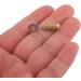 Frobea 20Pcs DIY Handmade Leather Suture Fixing Needles for Leather Crafting - Buy Online on GoSupps.com