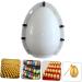 UPKOCH Golden Egg Mold Silicone Molds Party Egg Making Mold Washable Egg Mold Line 16c European Style As Shown 16.00X16.00X11.00CM - Buy Online on GoSupps.com