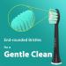 LINILEEA Toothbrush Replacement Heads Black Compatible with Philips Sonicare Click On Electric Toothbrush 8Pack Balck 1 count (Pack of 8) - Buy Online on GoSupps.com