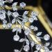 Aoligrace CZ Bride Headband - Bridal Wedding Hair Accessories - Buy Online on GoSupps.com