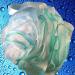 Loofah Bath Sponge XL Swirl Set (4 Pack) - Exfoliating Pouf Scrubber by Shower Bouquet - Buy Online on GoSupps.com