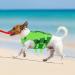Buy Convinit Life Jacket for Dogs - Adjustable Reflective Vest for Small Medium & Large Dogs - Perfect for Boating Swimming & Surfing - XS Green - Buy Online on GoSupps.com