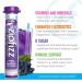 Zipfizz Electrolyte Hydration Powder with B12 - 24 Pack Combo | Energy Drink Mix with Multivitamin | 24 Count Pack - Buy Online on GoSupps.com