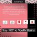 Staino Tooth Stain Eraser Dental Tool - 2 Erasers/Unit - Buy Online on GoSupps.com