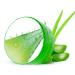 Qukaim Skin Care Aloe Vera Gel Aloe Vera Gel Hydrating Soothing Cream 10.6oz for Home Beauty Salon