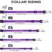 Buy Tagme Personalized Purple Dog Collar for Small Dogs | Embroidered Reflective Nylon with Pet Name & Phone Number - International Shipping Available - Buy Online on GoSupps.com